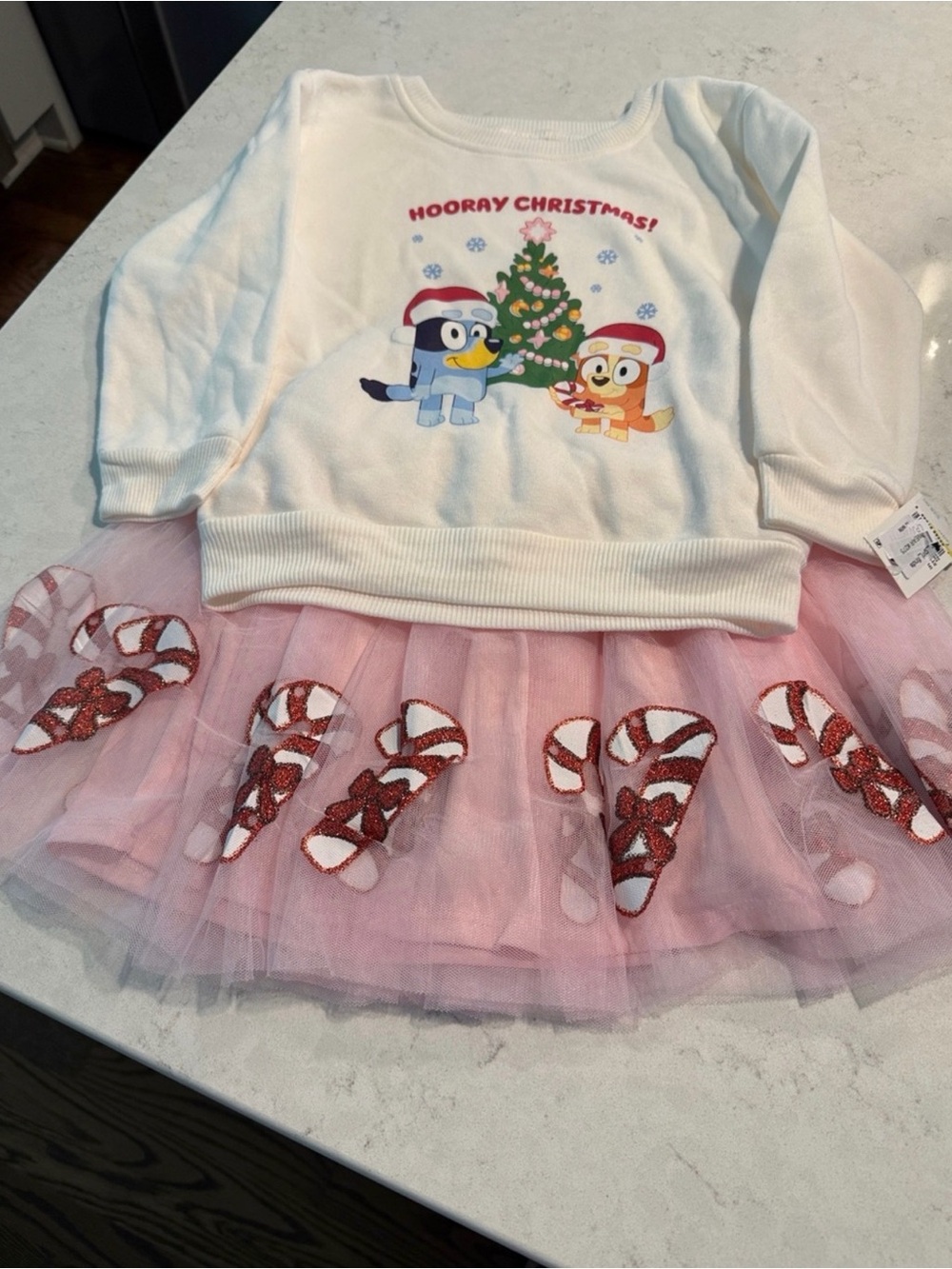 Holiday Bluey Christmas outfit